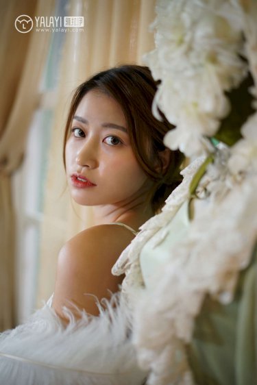 百灵潭电视剧免费观看完整版